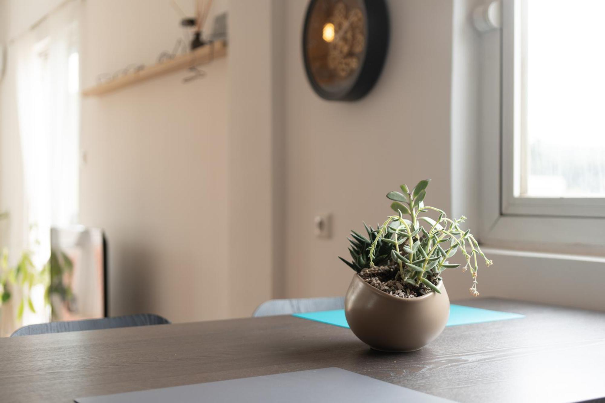 Apartament A Place 4U No13 Ateny Zewnętrze zdjęcie